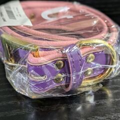 中型犬/大型犬/バイカラー首輪（新品）の画像