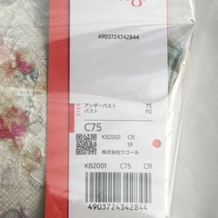 新品未開封半額 ワコールウイングブラジャー 可愛いの画像