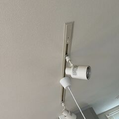 スポットライトの画像
