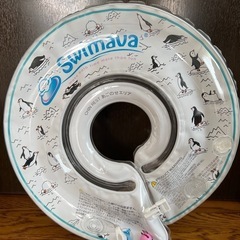 付属品全てあります　ｓｗｉｍａｖａの画像