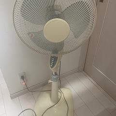 森田電工特大扇風機