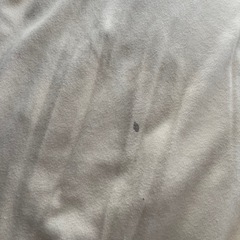 エムールビーズソファクッションの画像