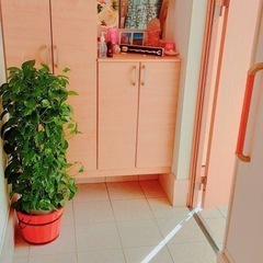 玄関収納または靴箱　