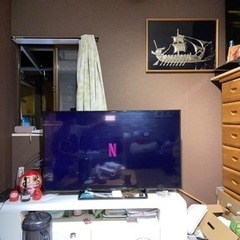 パナソニックテレビ TH-49D305