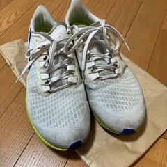 Nike ナイキ エアズームペガサス37 ホワイト