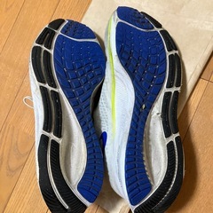 Nike ナイキ エアズームペガサス37 ホワイトの画像