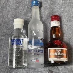 お酒ミニボトル/20歳以上限定