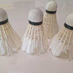 シャトル　ノックようにいかがですか？の画像