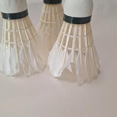 シャトル　ノックようにいかがですか？の画像