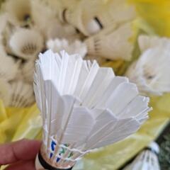 シャトル　ノックようにいかがですか？の画像