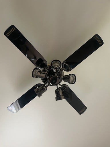 シーリングファンライト