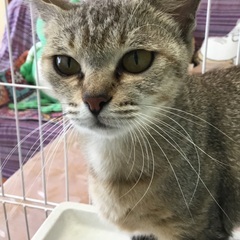 推定2〜3歳の女の子♡