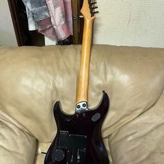 フェルナンデス　滝川一郎モデルの画像