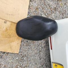 ホンダディオの画像