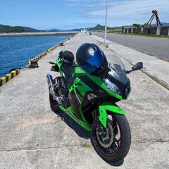 ニンジャ250