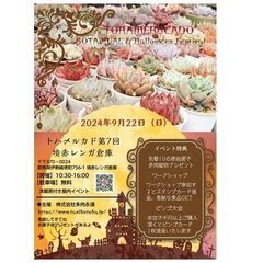 トハメルカド境赤レンガ倉庫第7回 