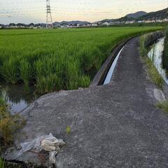 お友達募集中！
