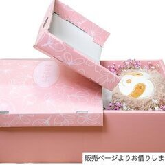 半額「ペットの棺」新品の画像