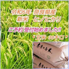 sd1_56ff760ebe60e8d76129d5f63b
