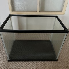 水槽36×26