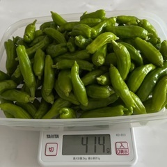 シシトウ400g❸の画像