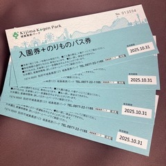 【4枚】城島高原パーク　入園&のりものフリーパス
