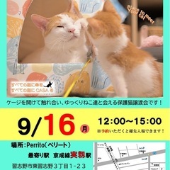 保護猫譲渡会@習志野市実籾
