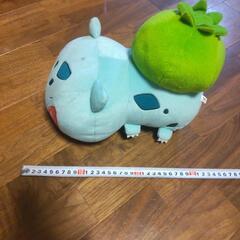 1/11破棄ポケモン＊フシギダネ ぬいぐるみ