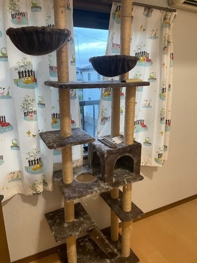 キャットタワー