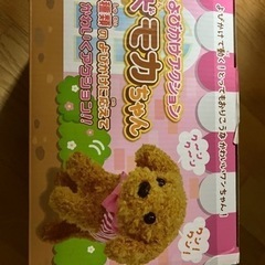 モカちゃんの画像