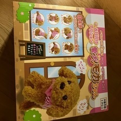 モカちゃんの画像