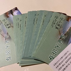 長崎県佐世保市世知原温泉日帰りチケ１枚