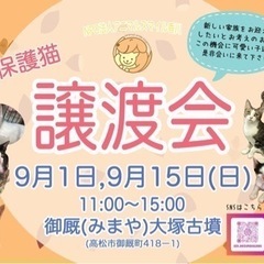 9/15(日) 保護猫の譲渡会@アニマルスマイル香川