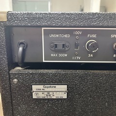 GUYATONE GA-2000 MKII
の画像