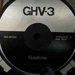 GUYATONE GA-2000 MKII
の画像