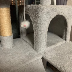 キャットタワー　中古の画像