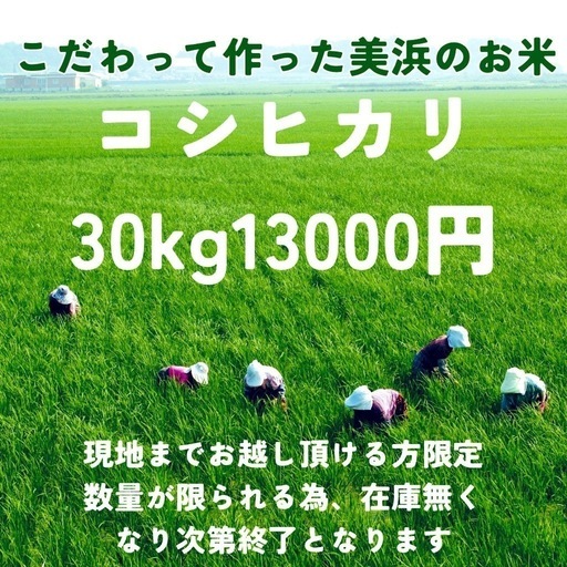 新米コシヒカリ