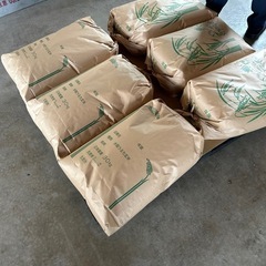 新米コシヒカリの画像