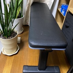 トレーニングベンチ