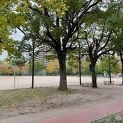 キャッチボール　千田公園でしませんか？