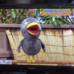 3D対応42型プラズマテレビ