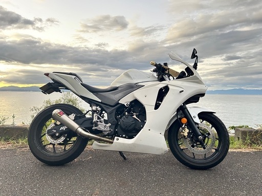 YAMAHA MT-25(YZF-R25) パーツ取り