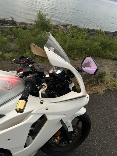 YAMAHA MT-25(YZF-R25) パーツ取り