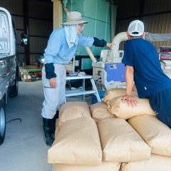 令和6年度米 新米　こしひかり米 白米　美味しい米27キロ　11500円の画像