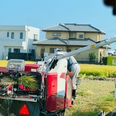 令和6年度米 新米　こしひかり米 白米　美味しい米27キロ　11...