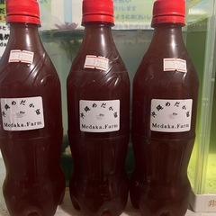 PSB 500ml残り1本