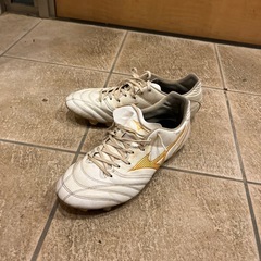 サッカースパイク
