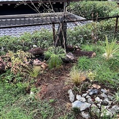 庭土あげます。の画像