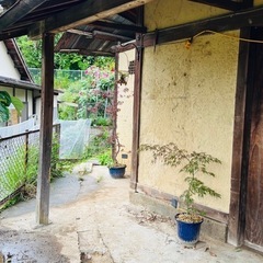 荒土、近隣の方でしたら配達します。の画像