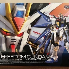 ガンプラ　RGストライクフリーダム　ストフリ